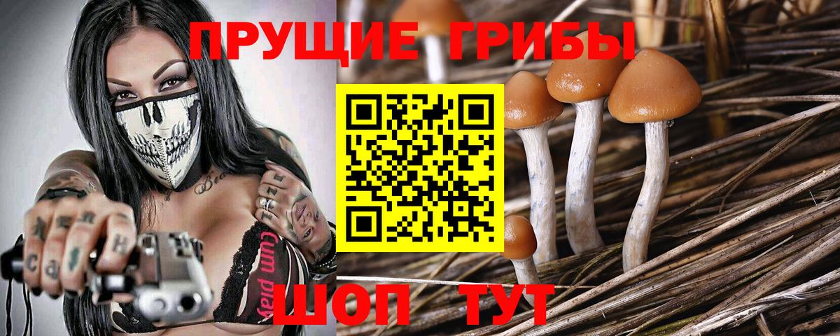 Псилоцибиновые грибы GOLDEN TEACHER Новочеркасск
