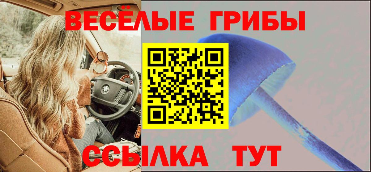 Новочеркасск  Галлюциногенные грибы ЛСД  Вход с VPN 